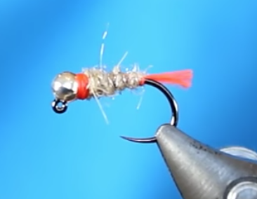 Trout and feather attractor-nymphs