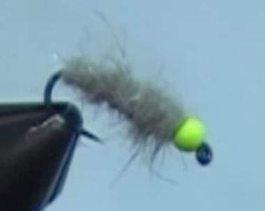 Walt’s Worm Fly / Crane Fly Larva (beadhead & « hot spot »)