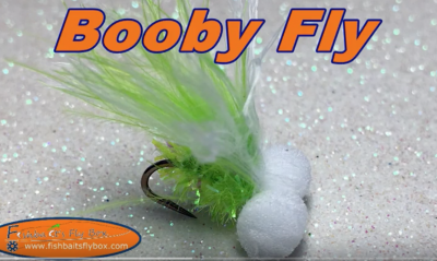 Booby Fly