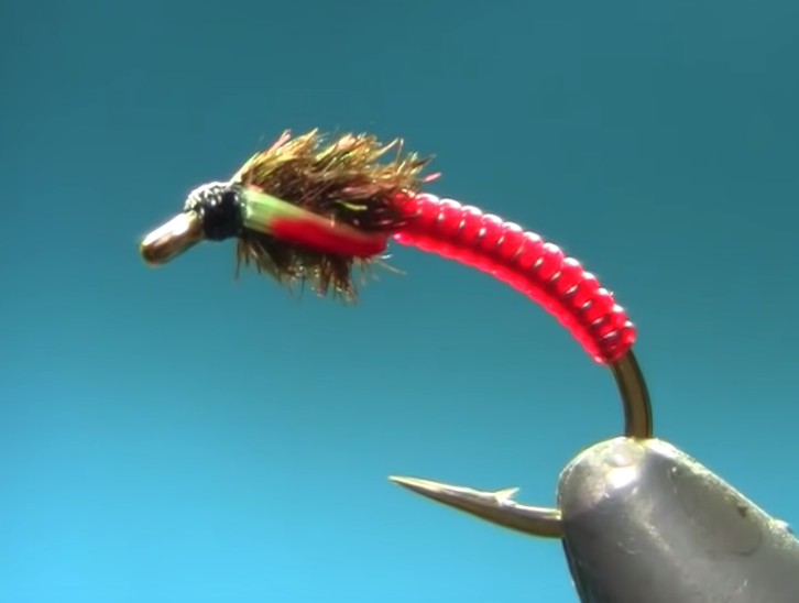 Bloodworm : Chironomid Buzzers