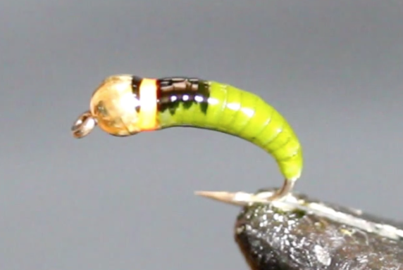 Nymph Skin caddis larvae / czech nymph