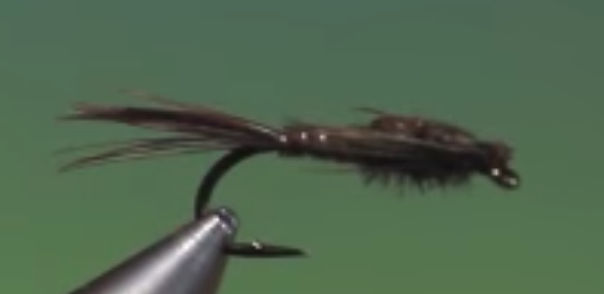 Pheasant Tail Nymph2