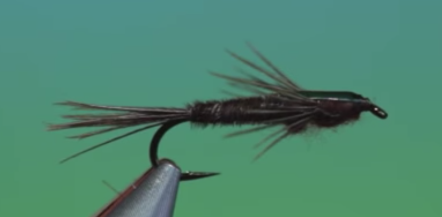 Pheasant tail stone fly nymph