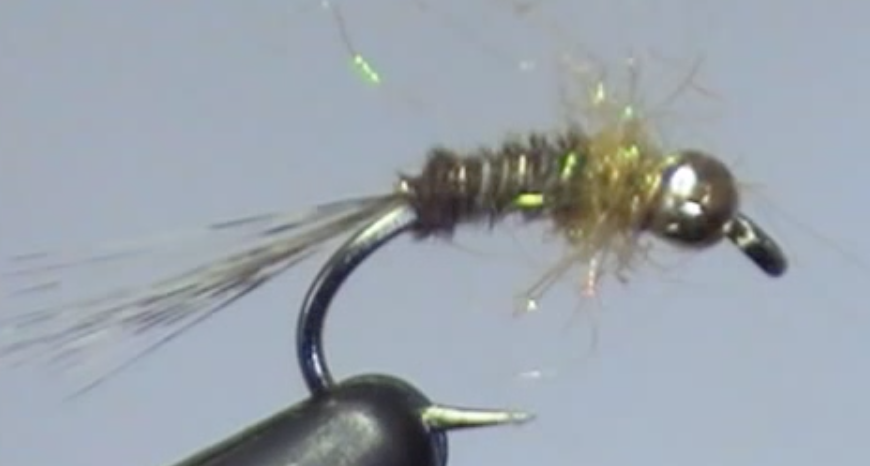 The Pheasant Tail Nymph (variation w/ hot spot and CDL tail)