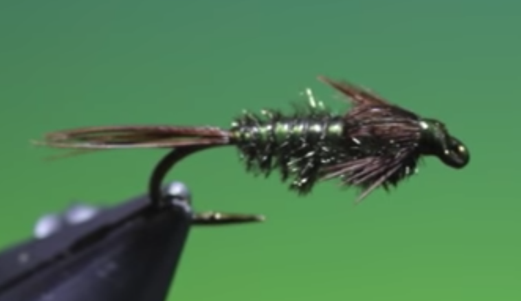 Gill abdomen mayfly technique