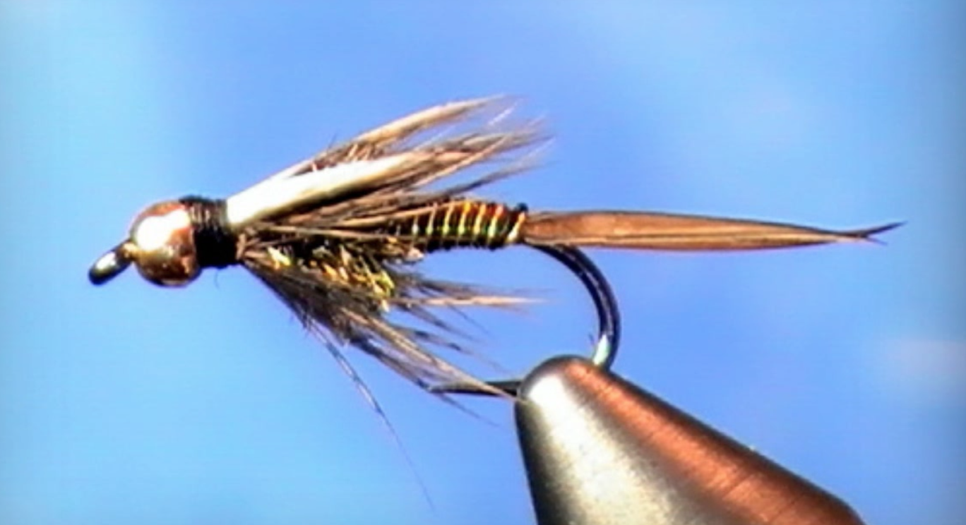 Hot Wire Prince Nymph