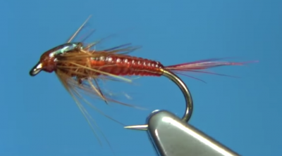 Small Elastic Mayfly Nymph