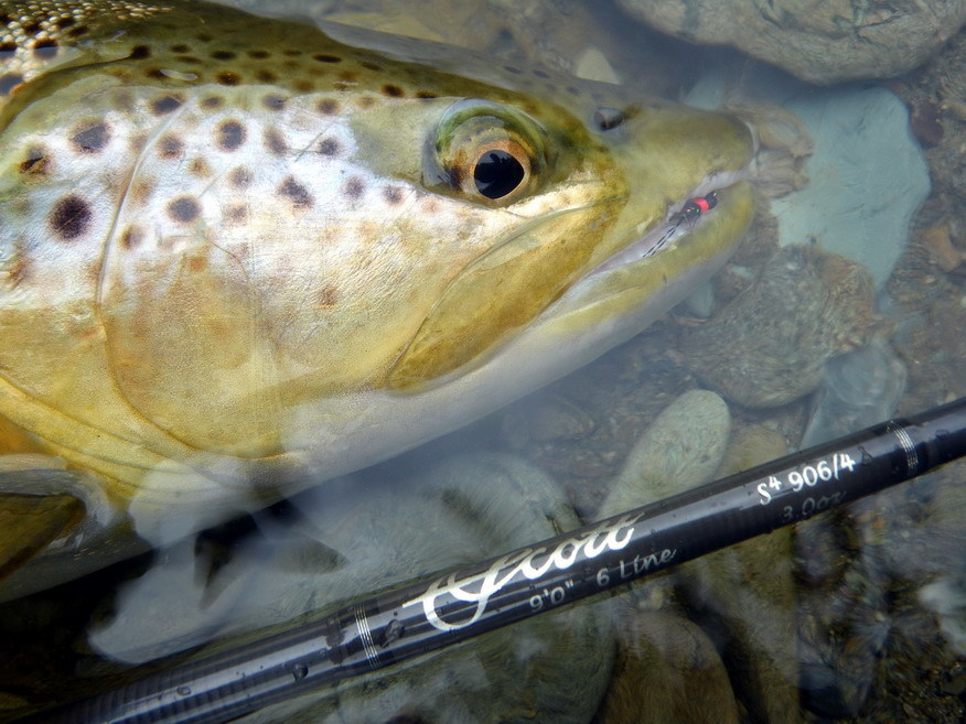 Fly Fishing with Chris Dore