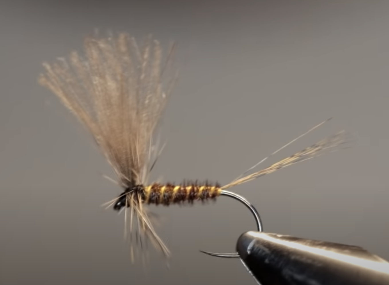 March Brown dry fly