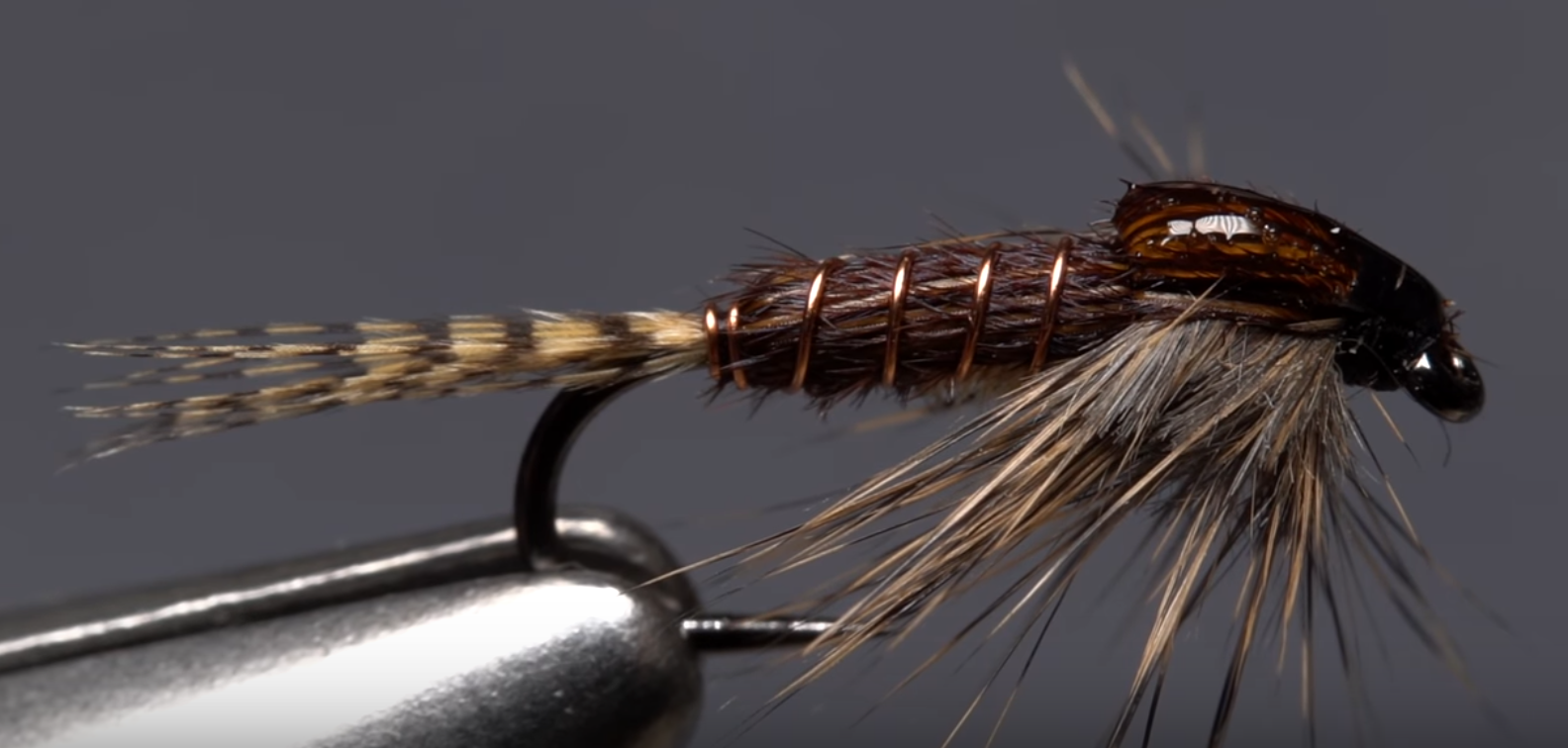 Phat and Phunky Pheasant Tail Nymph